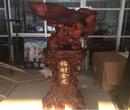 招财金龙